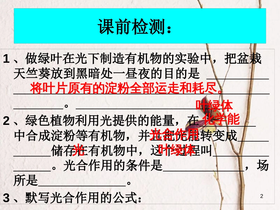 湖南省桑植县七年级生物上册 第三单元 第五章 第二节 绿色植物的呼吸作用课件 （新版）新人教版_第2页