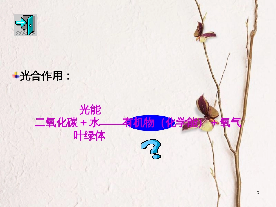 湖南省桑植县七年级生物上册 第三单元 第五章 第二节 绿色植物的呼吸作用课件 （新版）新人教版_第3页