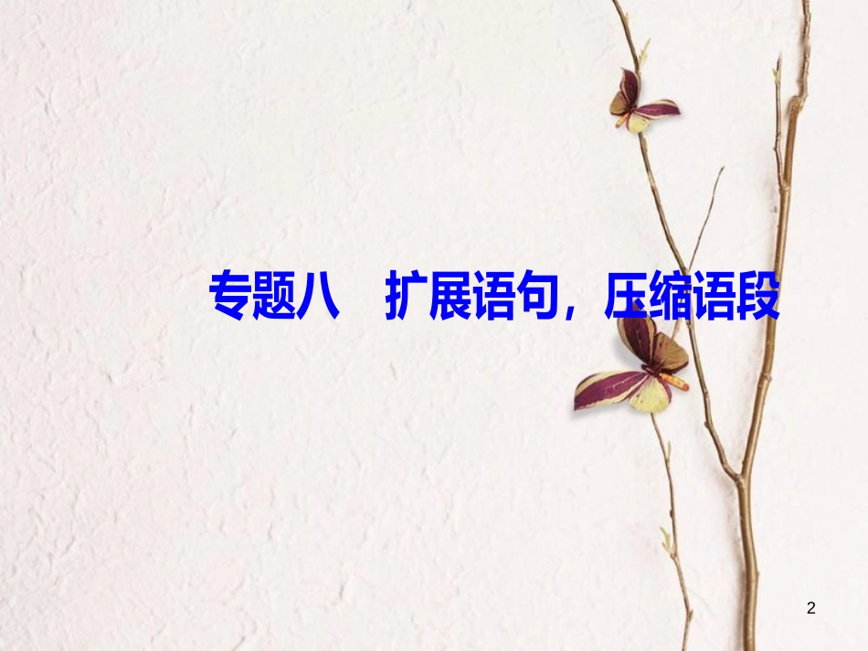 2019版高考语文总复习 第一部分 语言文字应用 专题八 扩展语句，压缩语段课件_第2页