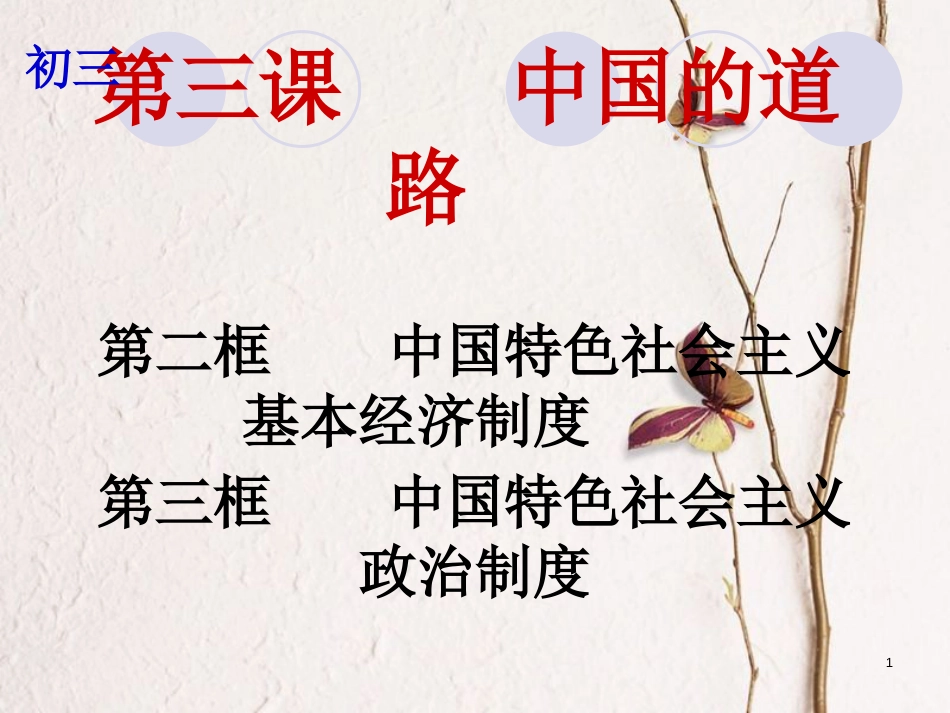 云南省个旧市九年级政治全册 第一单元 世界大舞台 第三课 中国的道路 第2-3框 中国特色社会主义基本经济制度 中国特色社会主义政治制度课件 人民版_第1页