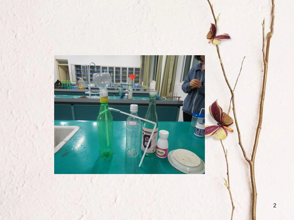 九年级化学上册 第6单元 碳和碳的氧化物 实验活动2 二氧化碳的实验室制取与性质教学课件 （新版）新人教版_第2页
