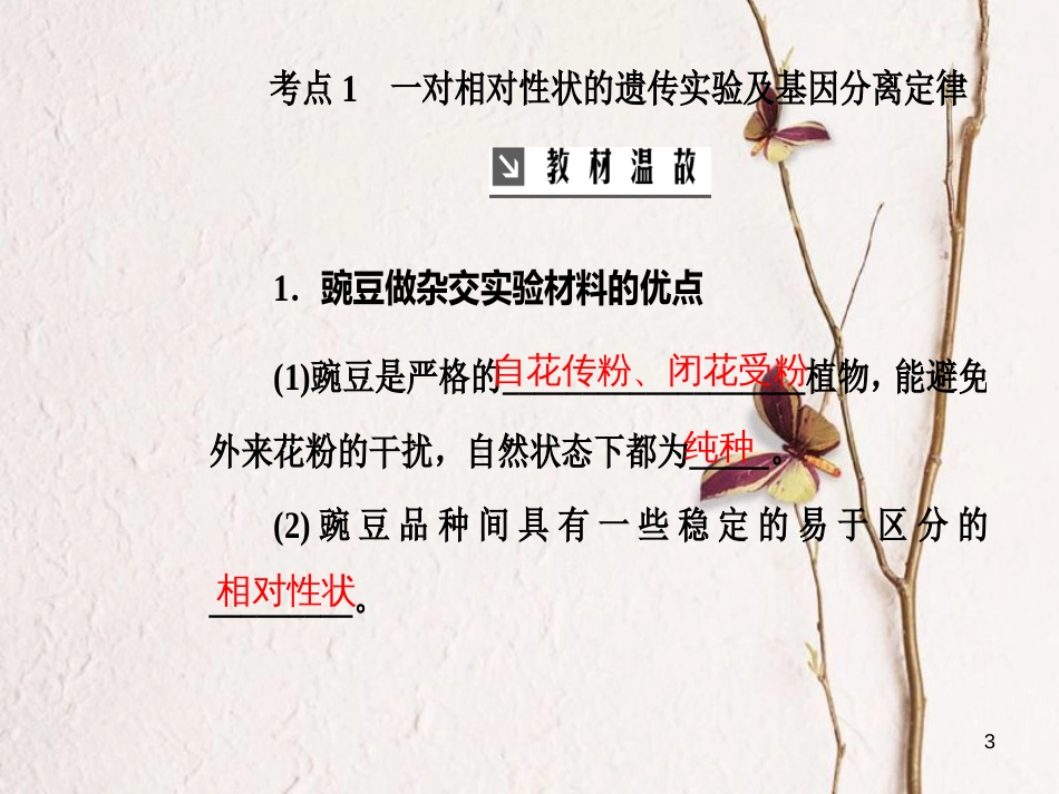 2019版高考生物总复习 第五单元 遗传定律和伴性遗传 第1讲 孟德尔豌豆杂交实验（一）课件_第3页