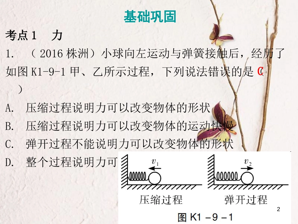 广东省中考物理总复习 第一部分 基础复习 第9课时 力课后作业课件_第2页