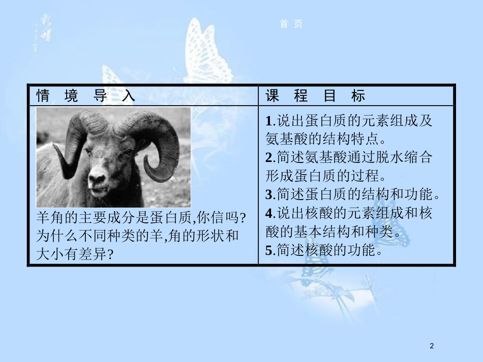 高中生物 第二章 细胞的化学组成 2.2.2 蛋白质和核酸的结构和功能课件 苏教版必修1_第2页