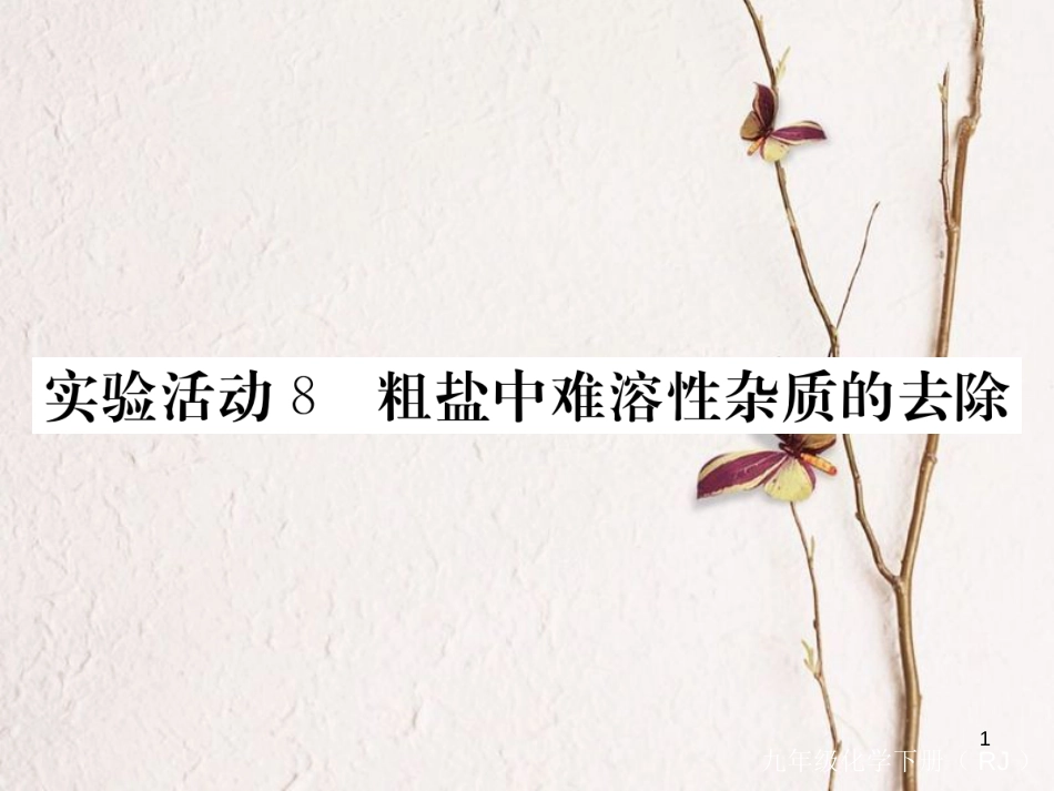 （通用）九年级化学下册 第11单元 盐 化肥 实验活动8 粗盐中难溶性杂质的去除课件 （新版）新人教版_第1页