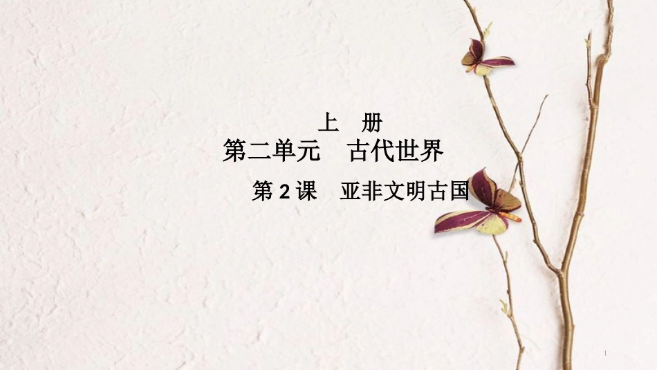 九年级历史上册 第二单元 古代世界 第2课 亚非文明古国导学课件 中华书局版_第1页