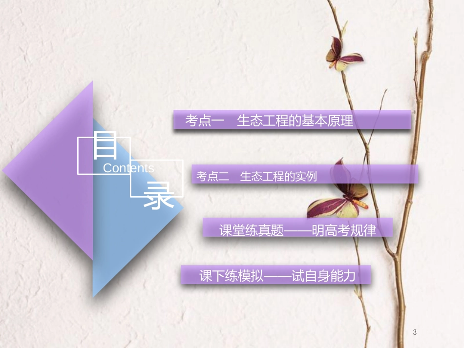（全国通用版）2019版高考生物一轮复习 选考部分 现代生物科技专题 第4讲 生态工程精准备考实用课件_第3页
