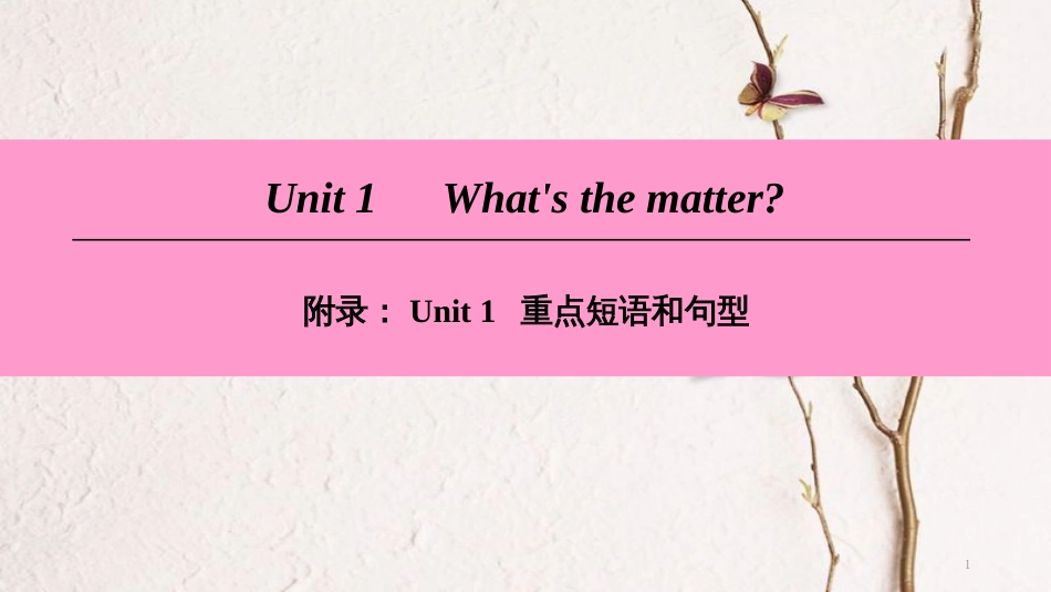 八年级英语下册 Unit 1 What’s the matter重点短语和句型课件 （新版）人教新目标版_第1页