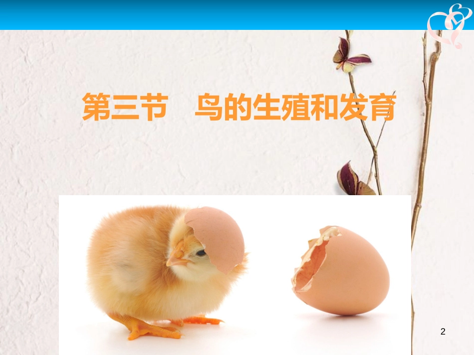 八年级生物下册 第7单元 第1章 第四节 鸟的生殖和发育课件 (新版)新人教版_第2页