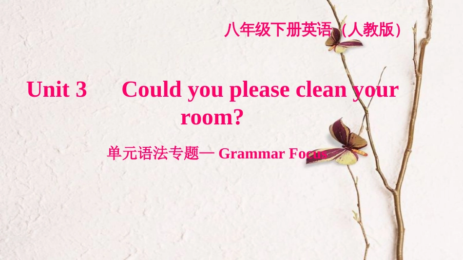 八年级英语下册 Unit 3 Could you please clean your room语法专题—grammar focus习题课件 （新版）人教新目标版_第1页