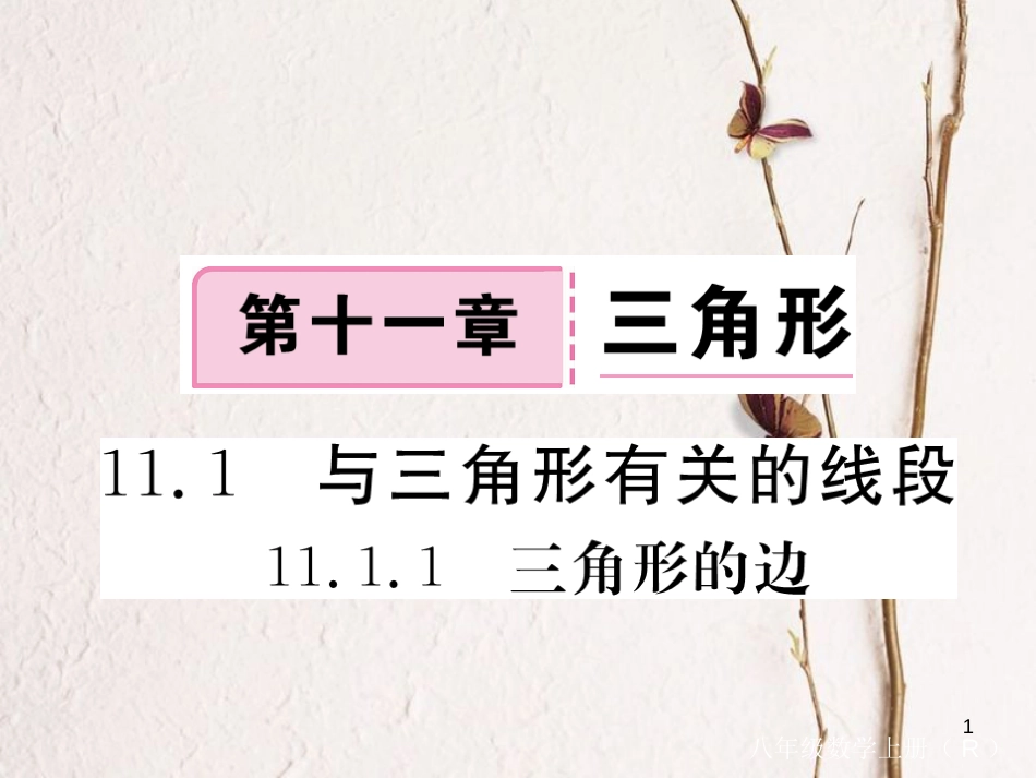 （贵州专用）八年级数学上册 11.1 与三角形有关的线段 11.1.1 三角形的边课件 （新版）新人教版_第1页