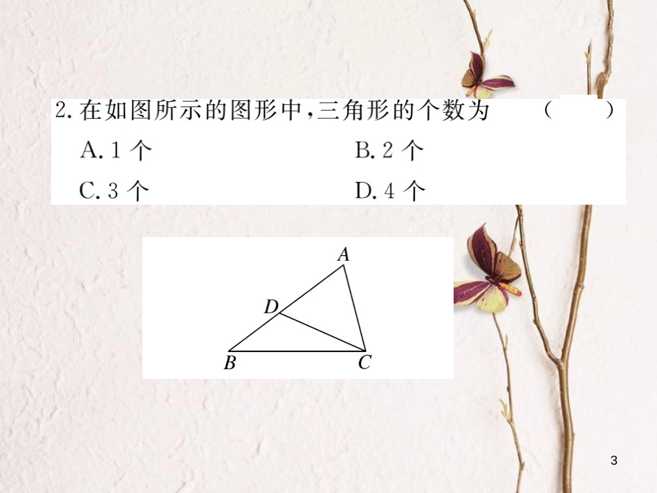 （贵州专用）八年级数学上册 11.1 与三角形有关的线段 11.1.1 三角形的边课件 （新版）新人教版_第3页