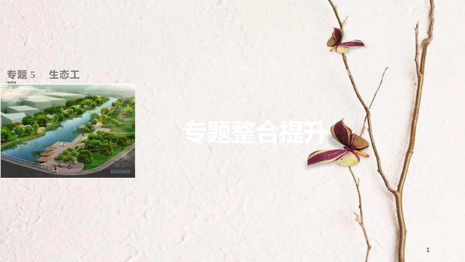 高中生物 专题5 生态工程专题整合提升课件 新人教版选修3_第1页