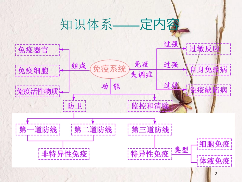 2019版高考生物一轮复习 第八单元 动物和人体生命活动的调节 第五讲 免疫调节精选课件_第3页