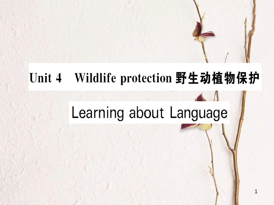 高中英语 Unit 4 Wildlife protection Learning about Language课件 新人教版必修2_第1页