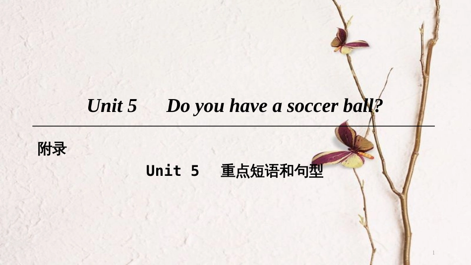 七年级英语上册 Unit 5 Do you have a soccer ball重点短语和句型课件 （新版）人教新目标版_第1页