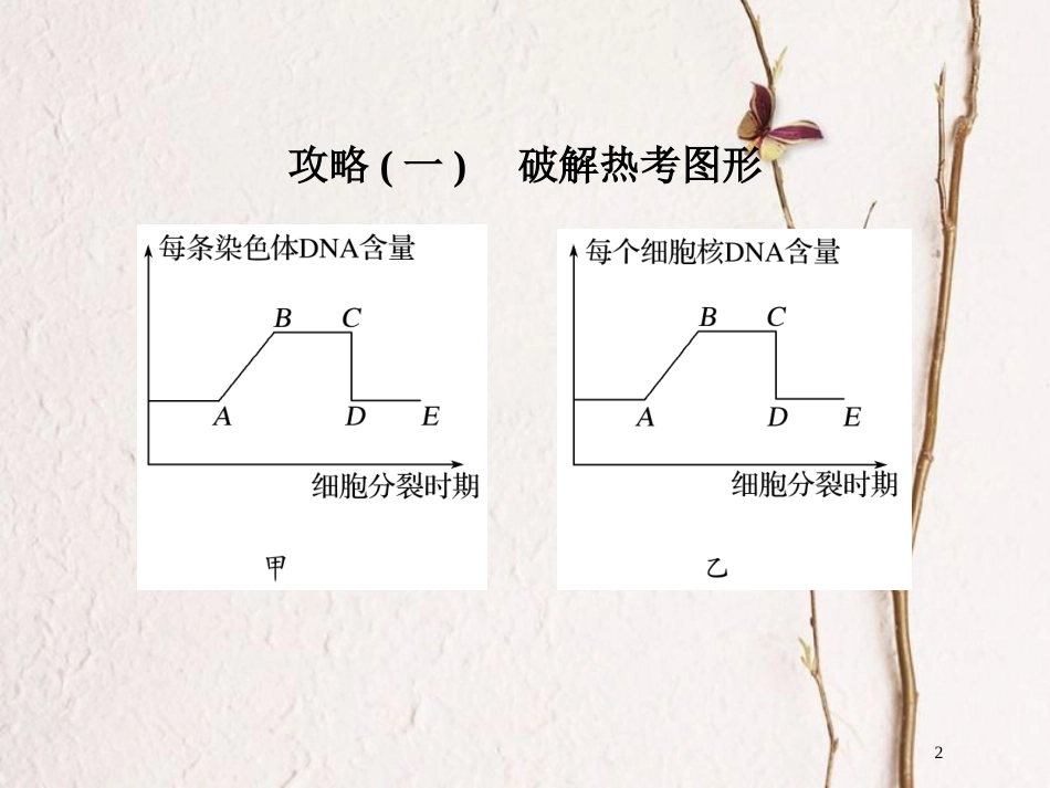 高中生物 第二章 减数分裂和有性生殖章末培优攻略课件 苏教版必修2_第2页