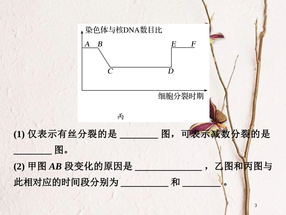 高中生物 第二章 减数分裂和有性生殖章末培优攻略课件 苏教版必修2_第3页