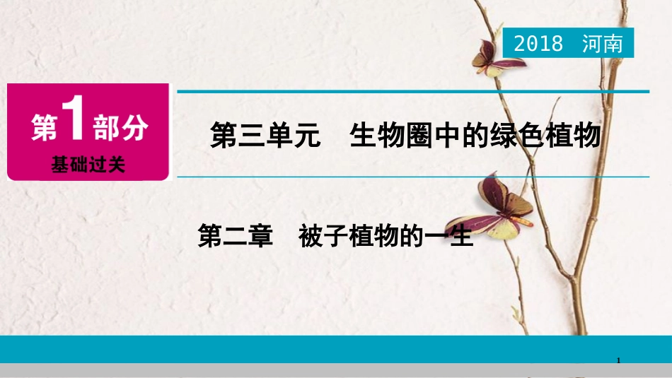 河南省2018年中考生物总复习 第1部分 第3单元 第2章 被子植物的一生课件_第1页