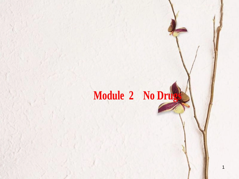 2019版高三英语一轮复习 Module 2 No Drugs课件 外研版必修2_第1页