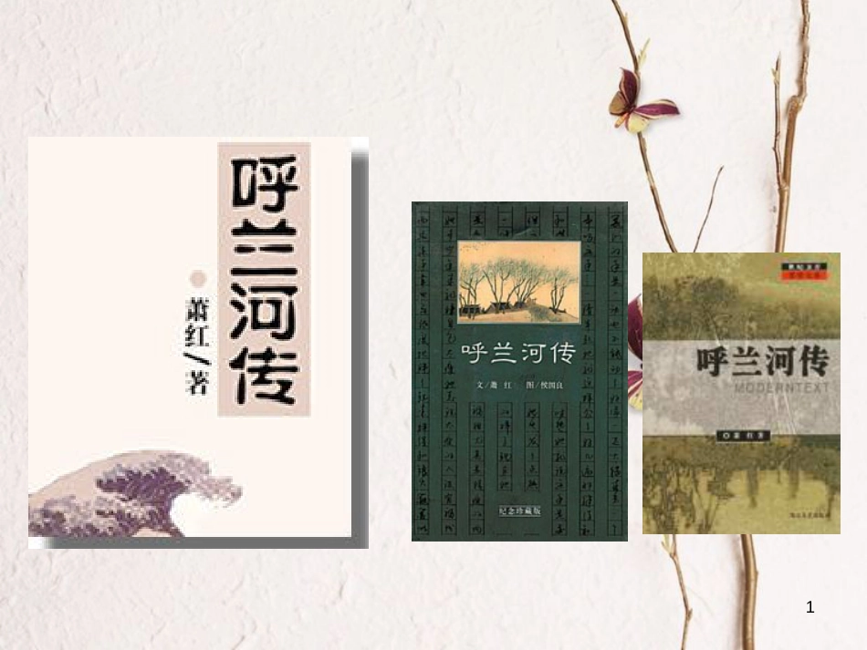 江苏省扬中市九年级语文下册 十二《呼兰河传》课件 苏教版_第1页