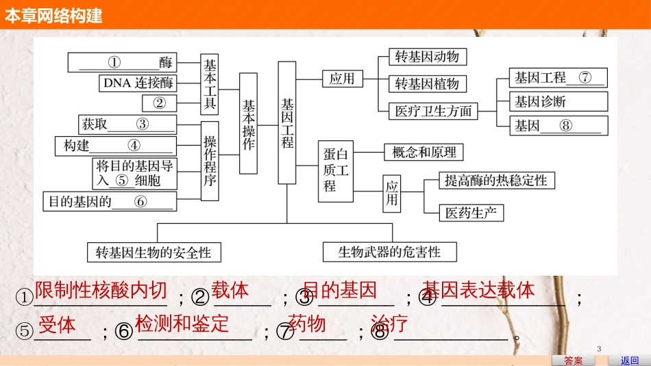 高中生物 第一章 基因工程章末整合课件 苏教版选修3_第3页