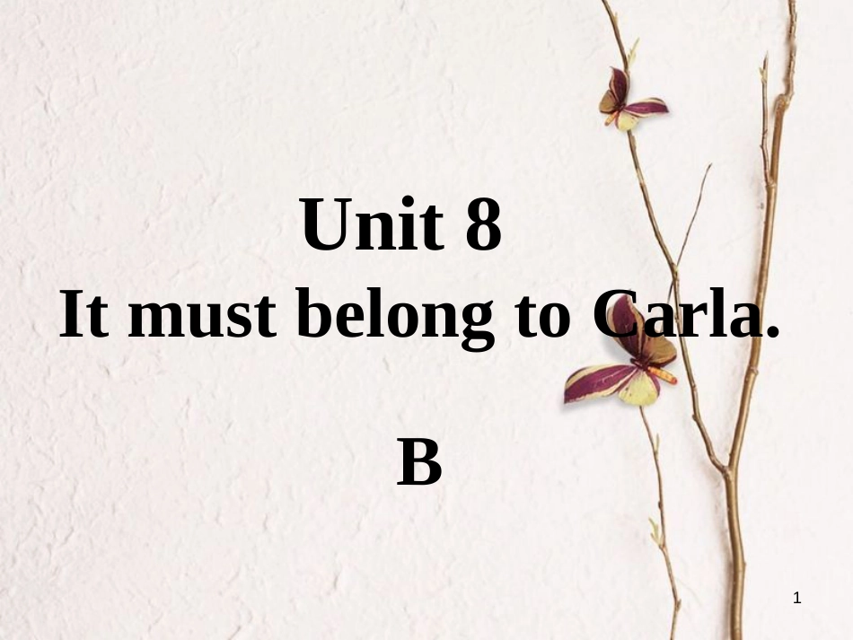 九年级英语全册 口头表达专练 Unit 8 It must belong to Carla B课件 （新版）人教新目标版_第1页