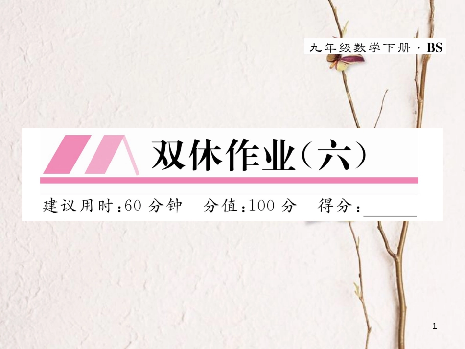 九年级数学下册 双休作业（六）作业课件 （新版）北师大版_第1页