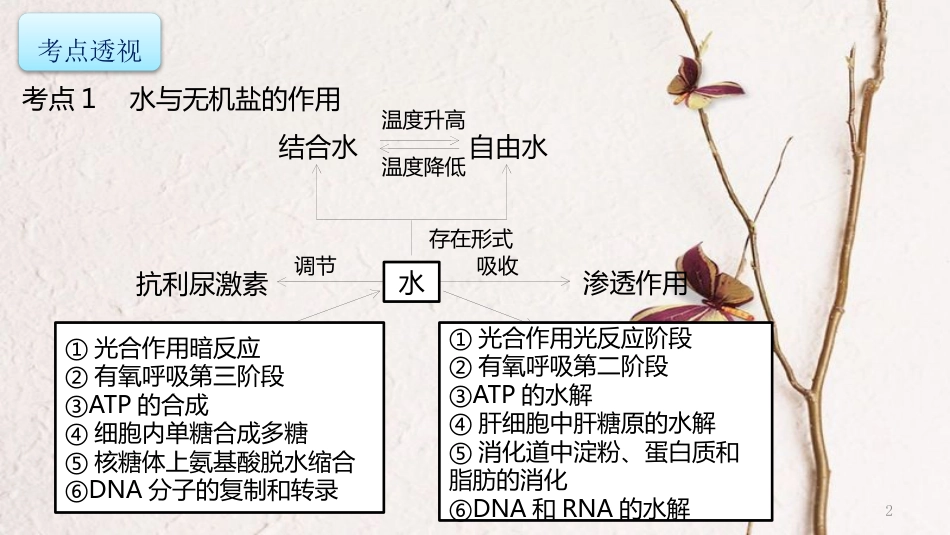 年高考生物二轮复习 专题1 细胞的物质、结构基础 第1讲 细胞的物质基础课件_第2页