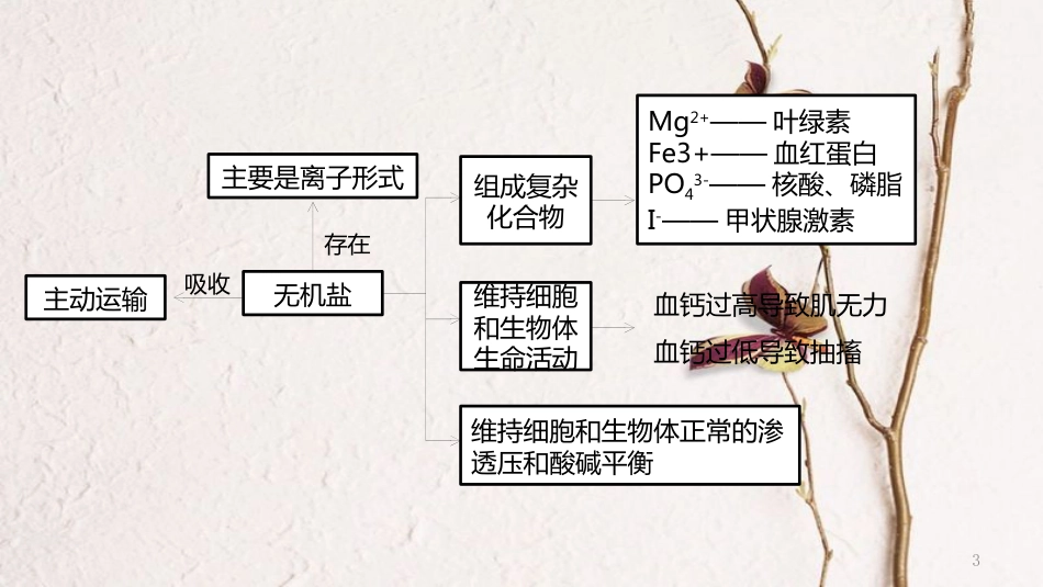 年高考生物二轮复习 专题1 细胞的物质、结构基础 第1讲 细胞的物质基础课件_第3页