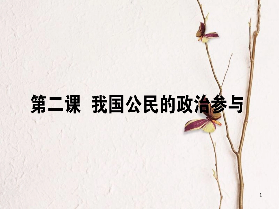 2019年高考政治一轮复习 第一单元 公民的政治生活 2 我国公民的政治参与课件 新人教版必修2_第1页