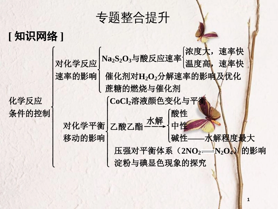 （浙江专用）高中化学 专题四 化学反应条件的控制专题整合提升课件 苏教版选修6_第1页