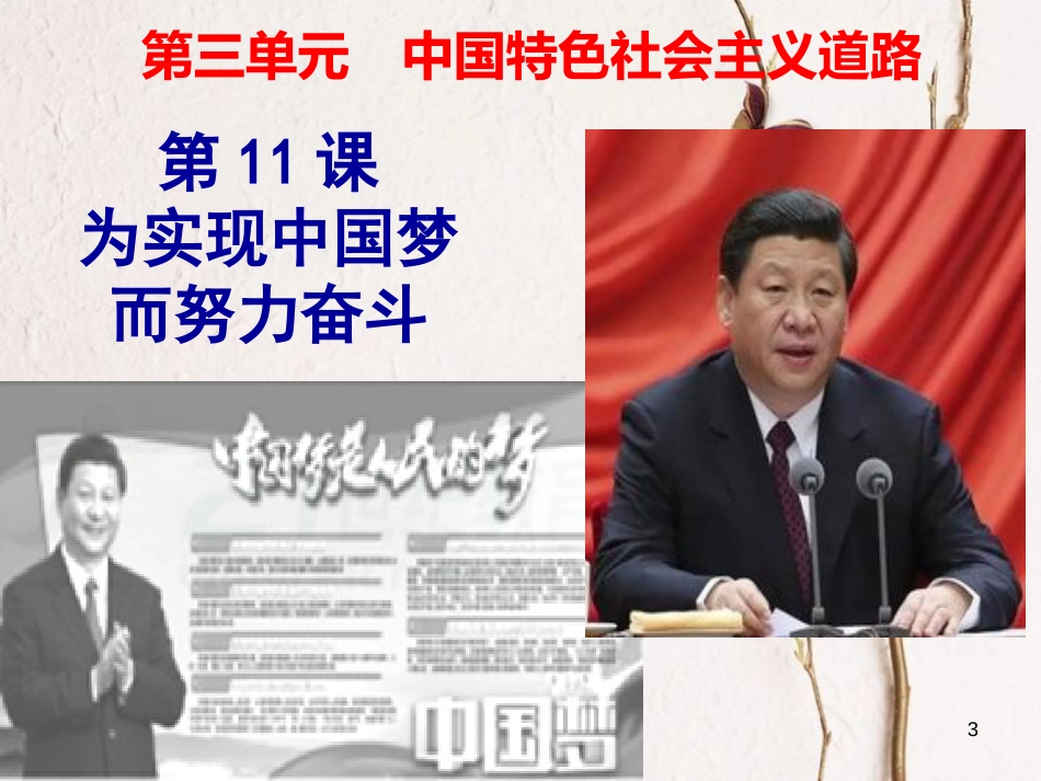 八年级历史下册 第三单元 中国特色社会主义道路 第11课 为实现中国梦而努力奋斗课件3 新人教版_第3页