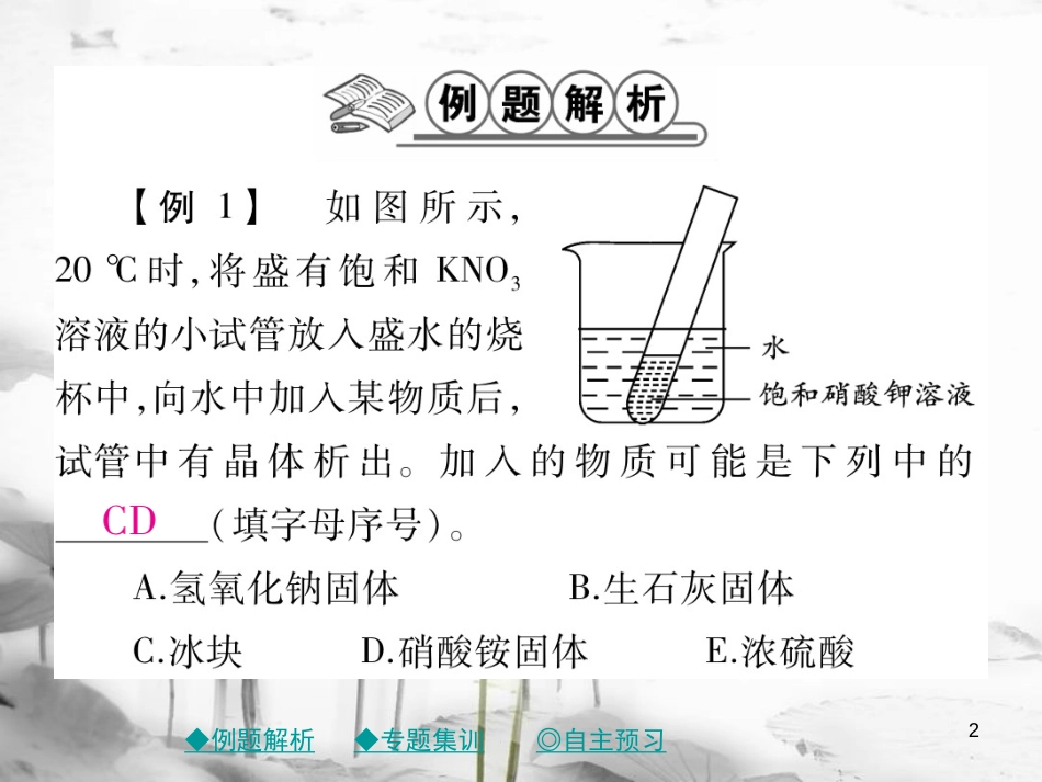 年春九年级化学下册 第九章 溶液 专题特训 溶解过程中的现象（热效应）课件 （新版）新人教版_第2页