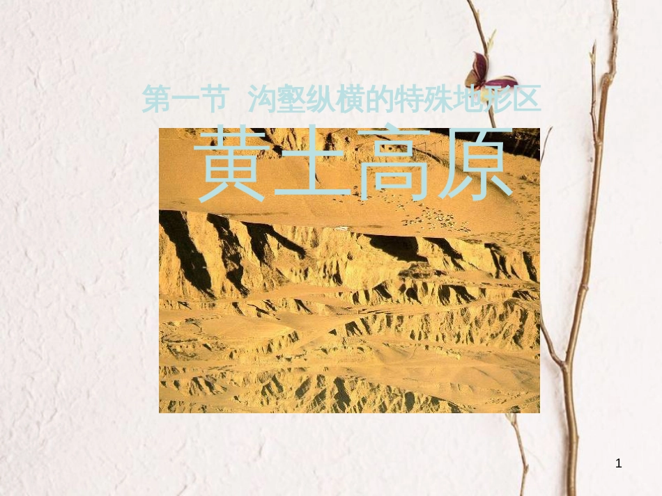 八年级地理下册 第六章 第三节 世界最大的黄土堆积区──黄土高原课件2 （新版）新人教版_第1页