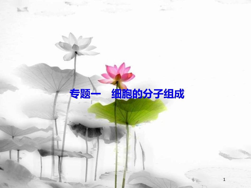 届高考生物大二轮复习 第1部分 重点讲练突破 专题一 细胞的分子组成课件_第1页
