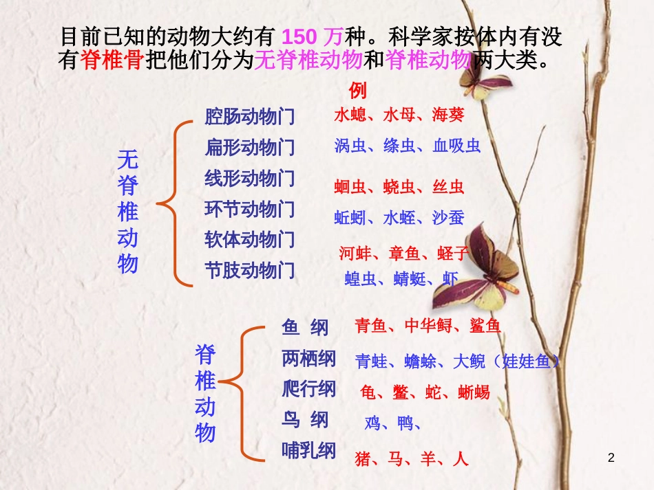 八年级生物上册 第五单元 第一章 第一节 腔肠动物和扁形动物课件 （新版）新人教版_第2页