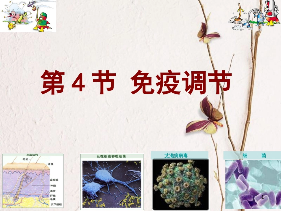 湖南省茶陵县高中生物 第二章 动物和人体生命活动的调节 2.4 免疫调节（理科）课件 新人教版必修3_第1页