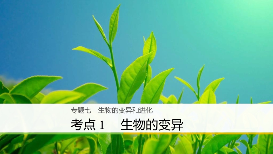 （浙江选考）高三生物二轮专题复习 专题七 生物的变异和进化 考点1 生物的变异课件 新人教版_第1页