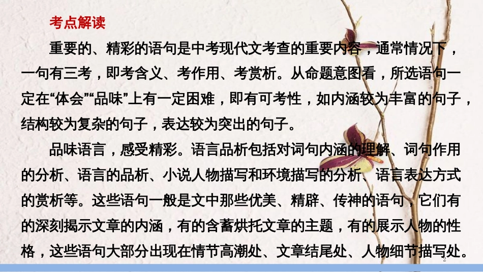 中考语文第一轮复习 第二部分 文学作品阅读 第二章 小说阅读 第3讲 语言品味和描写分析课件_第2页