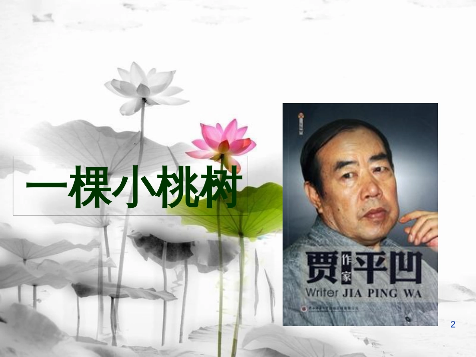 内蒙古鄂尔多斯市康巴什新区七年级语文下册 第五单元 18 一棵小桃树课件 新人教版_第2页