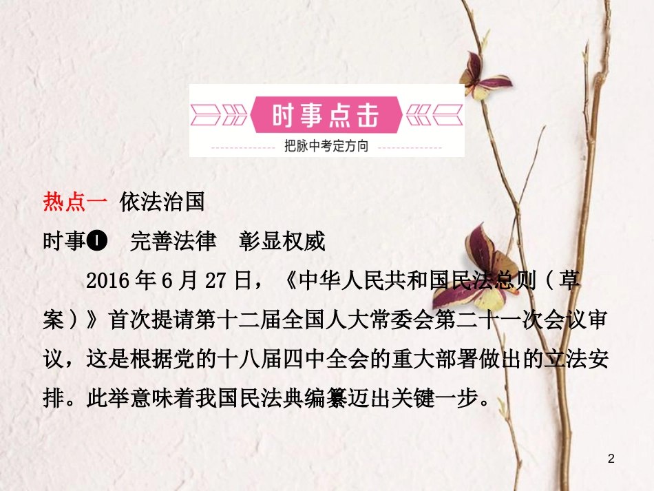 （烟台专版）中考政治复习 第二部分 专题二 坚持依法治国 建设法治国家课件_第2页