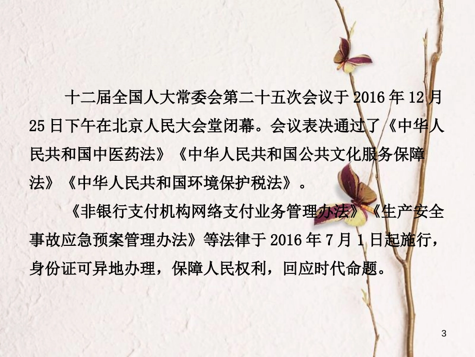 （烟台专版）中考政治复习 第二部分 专题二 坚持依法治国 建设法治国家课件_第3页