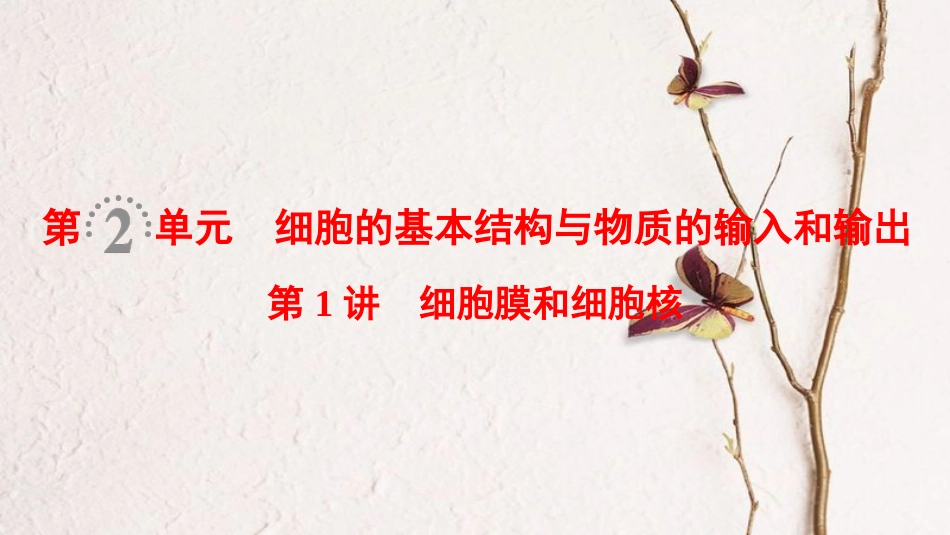 （全国版）2019版高考生物一轮复习 第2单元 细胞的基本结构与物质的输入和输出 第1讲 细胞膜和细胞核课件_第1页