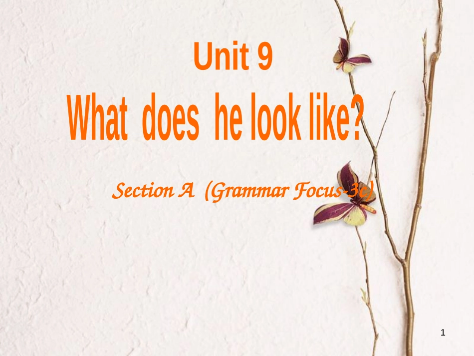 贵州省习水县七年级英语下册 Unit 9 What does he look like Section A（Grammar Focus-3d）课件 （新版）人教新目标版_第1页