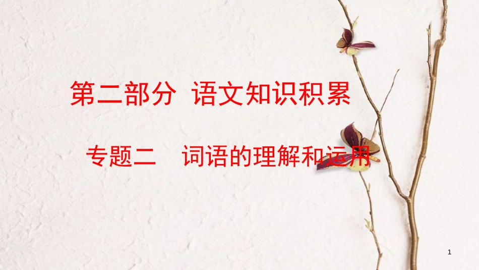 云南省中考语文复习方案 第二部分 语文知识积累 专题二 词语的理解和运用课件_第1页