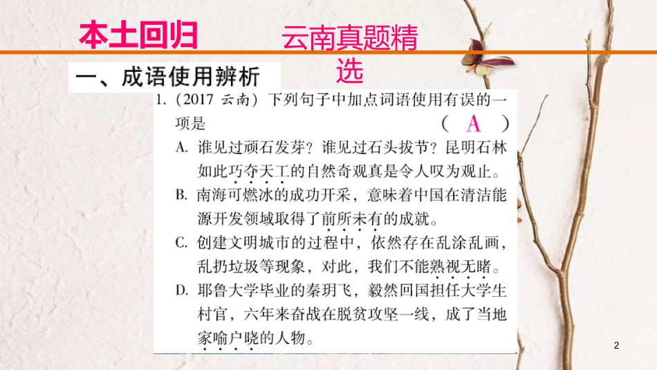 云南省中考语文复习方案 第二部分 语文知识积累 专题二 词语的理解和运用课件_第2页