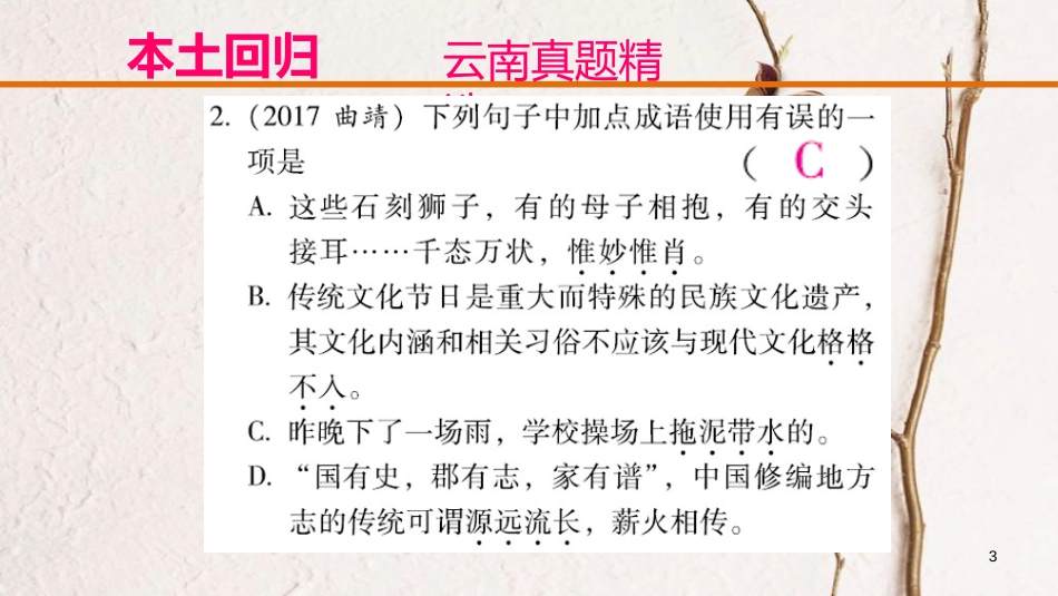 云南省中考语文复习方案 第二部分 语文知识积累 专题二 词语的理解和运用课件_第3页