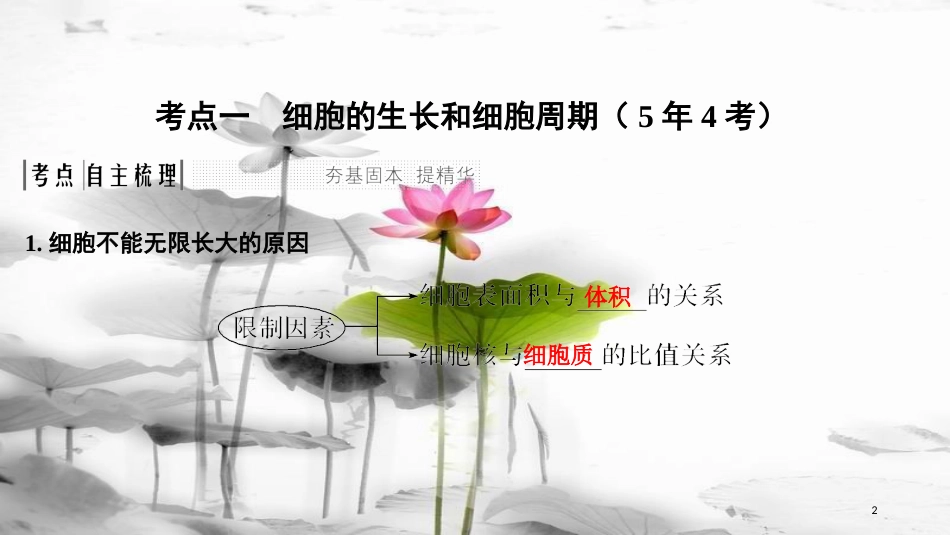 届高考生物一轮复习 第四单元 细胞的生命历程 第11讲 减数分裂和受精作用课件_第2页