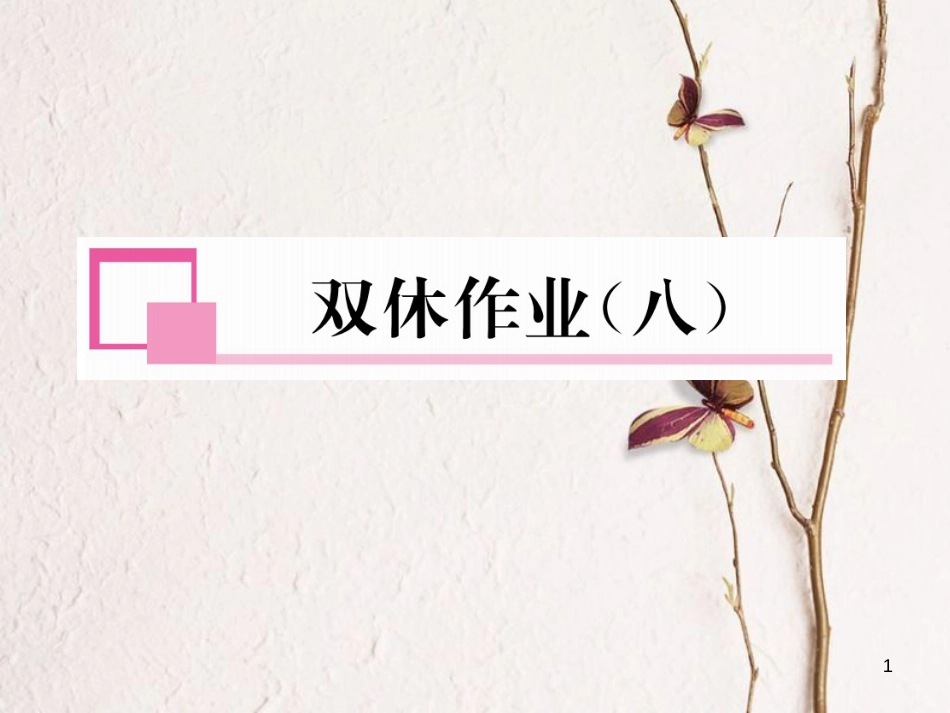 九年级数学下册 双休作业（8）作业课件 （新版）湘教版_第1页
